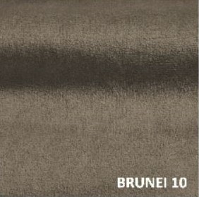 Brunei 10