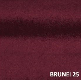 Brunei 25