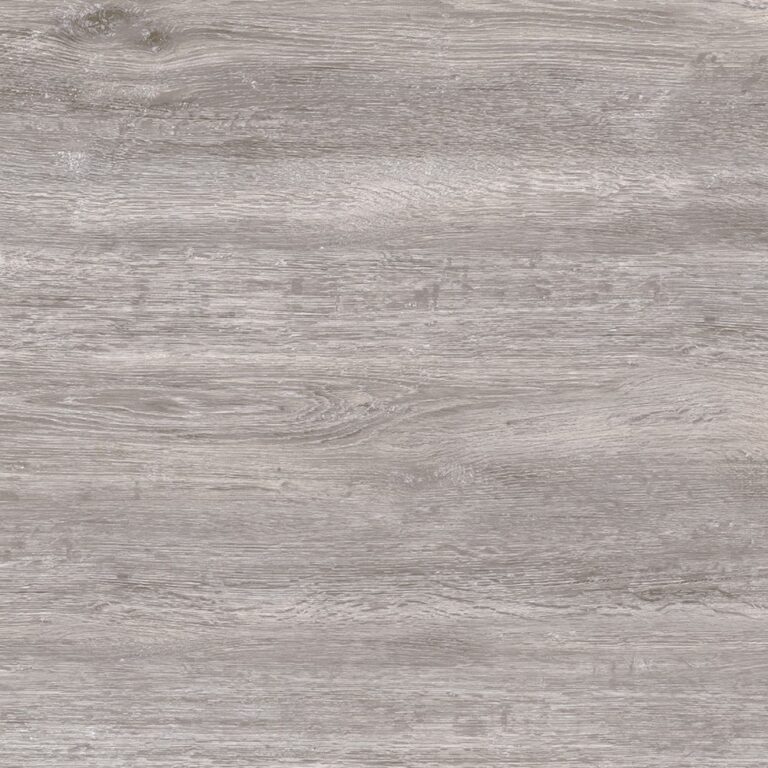 Palmera