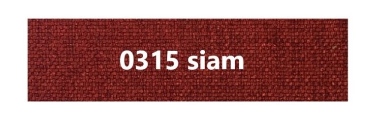 SIAM